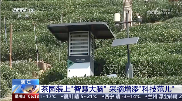 央視、人民網(wǎng)等權(quán)威媒體聚焦西湖龍井：托普云農(nóng)“黑科技”點亮千年茶香智變之路